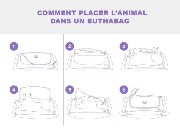 pictogrammes démontrant comment placer le corps d'un animal dans une housse mortuaire euthabag