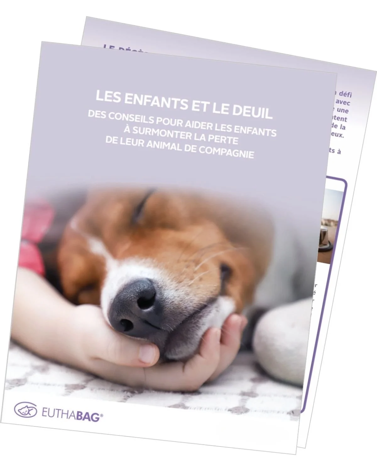 aperçu d'un dépliant sur les enfants et le deuil d'un animal