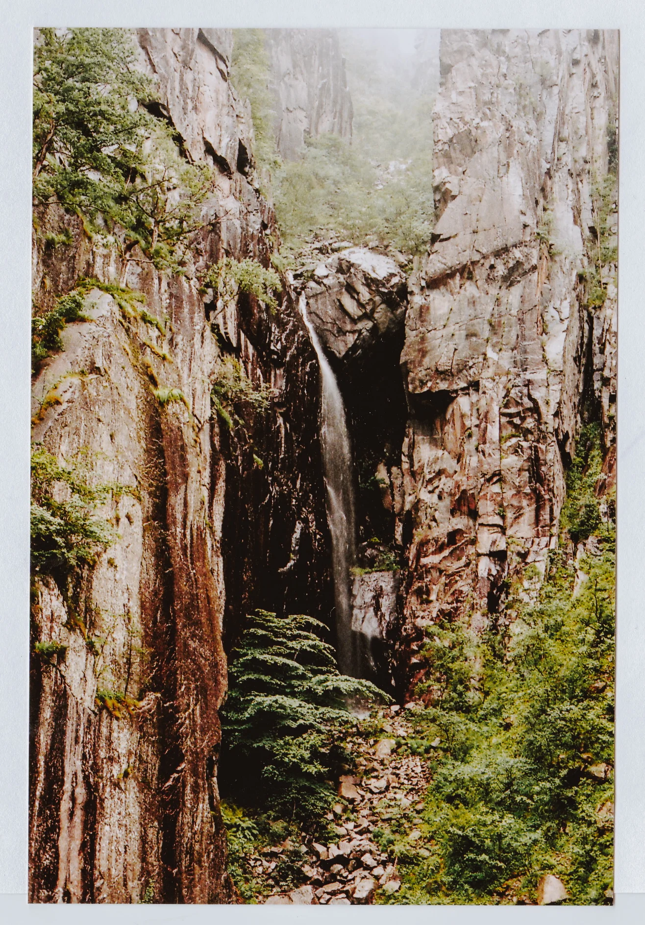 Scan 35.jpg