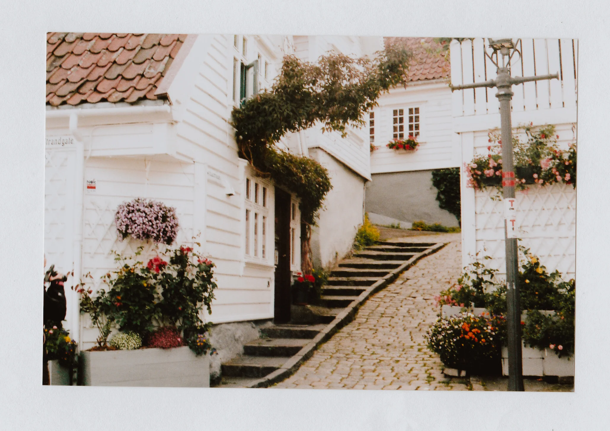 Scan 39.jpg
