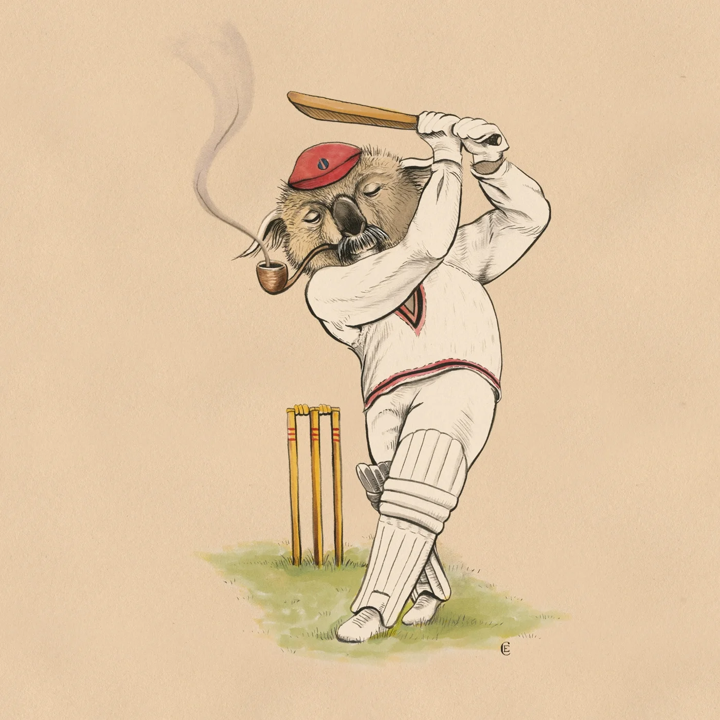 koala_cricketer_01.jpg