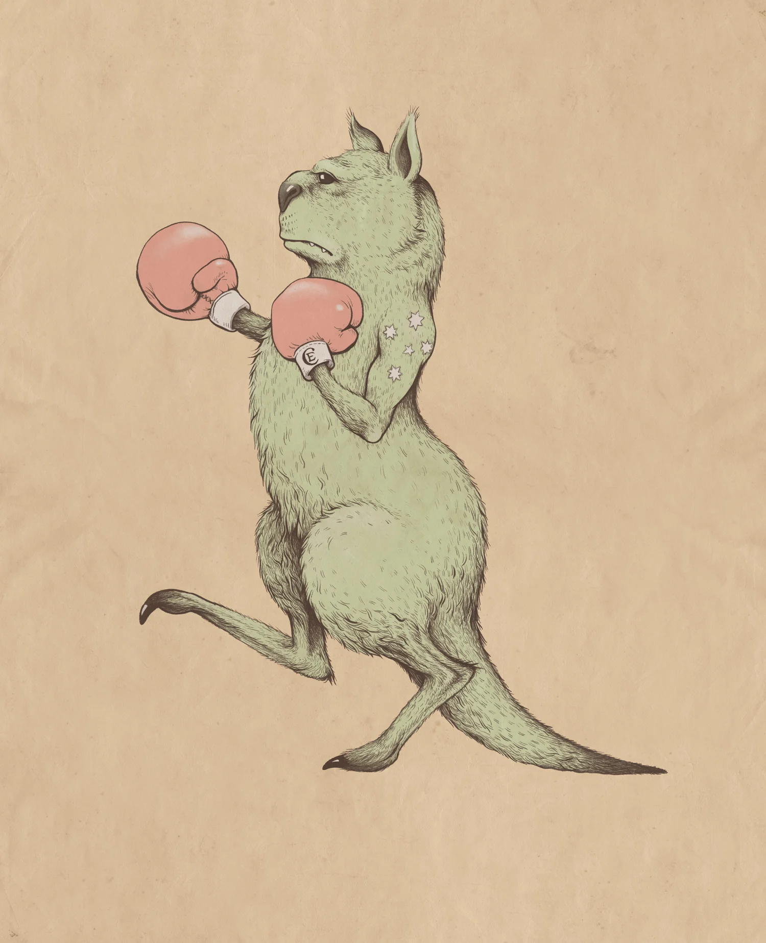 Boxing ProcoptodonRGB.jpg