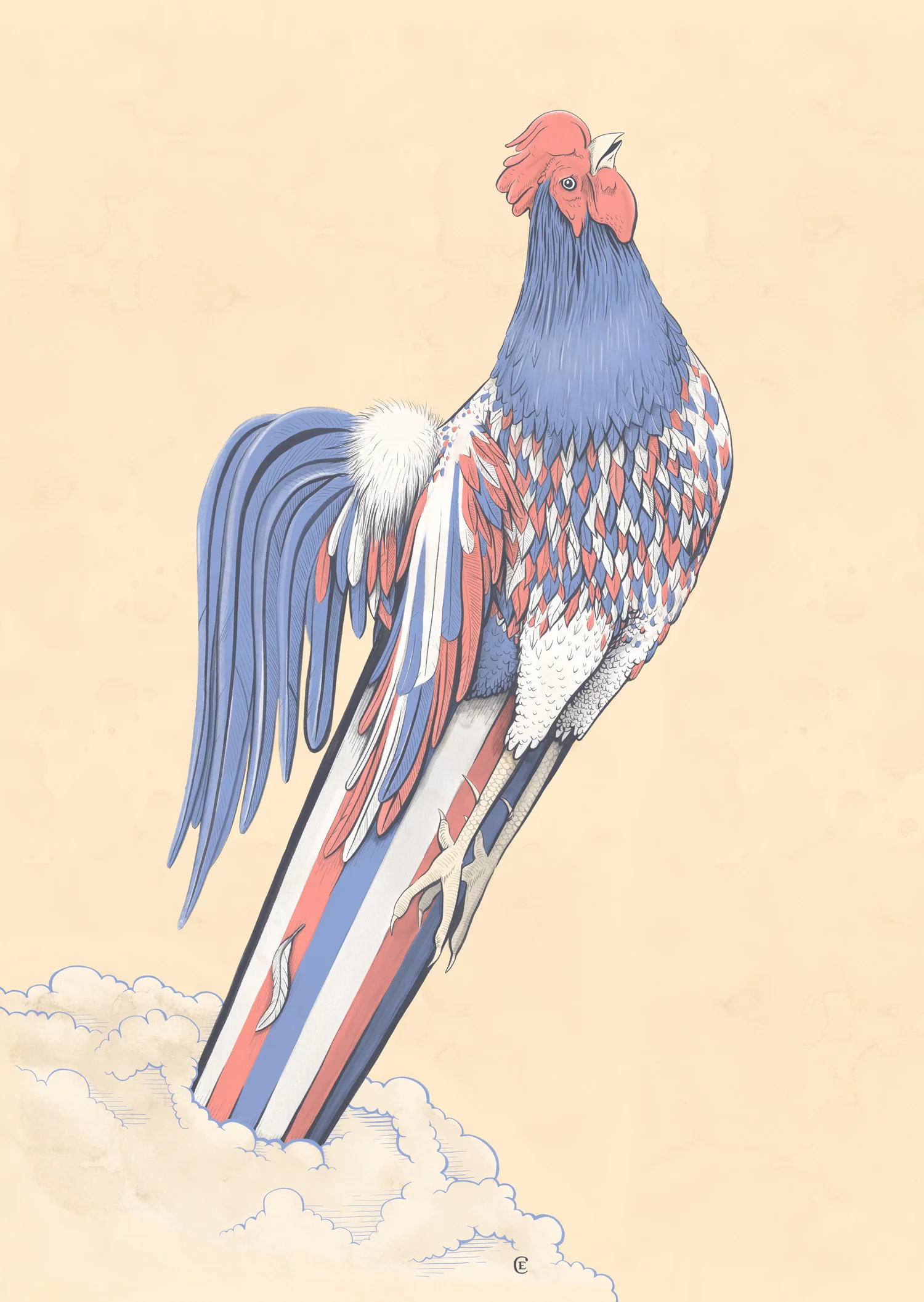 Chris-Edser-Gallic-Rooster-Lofficiel-Hommes.jpg
