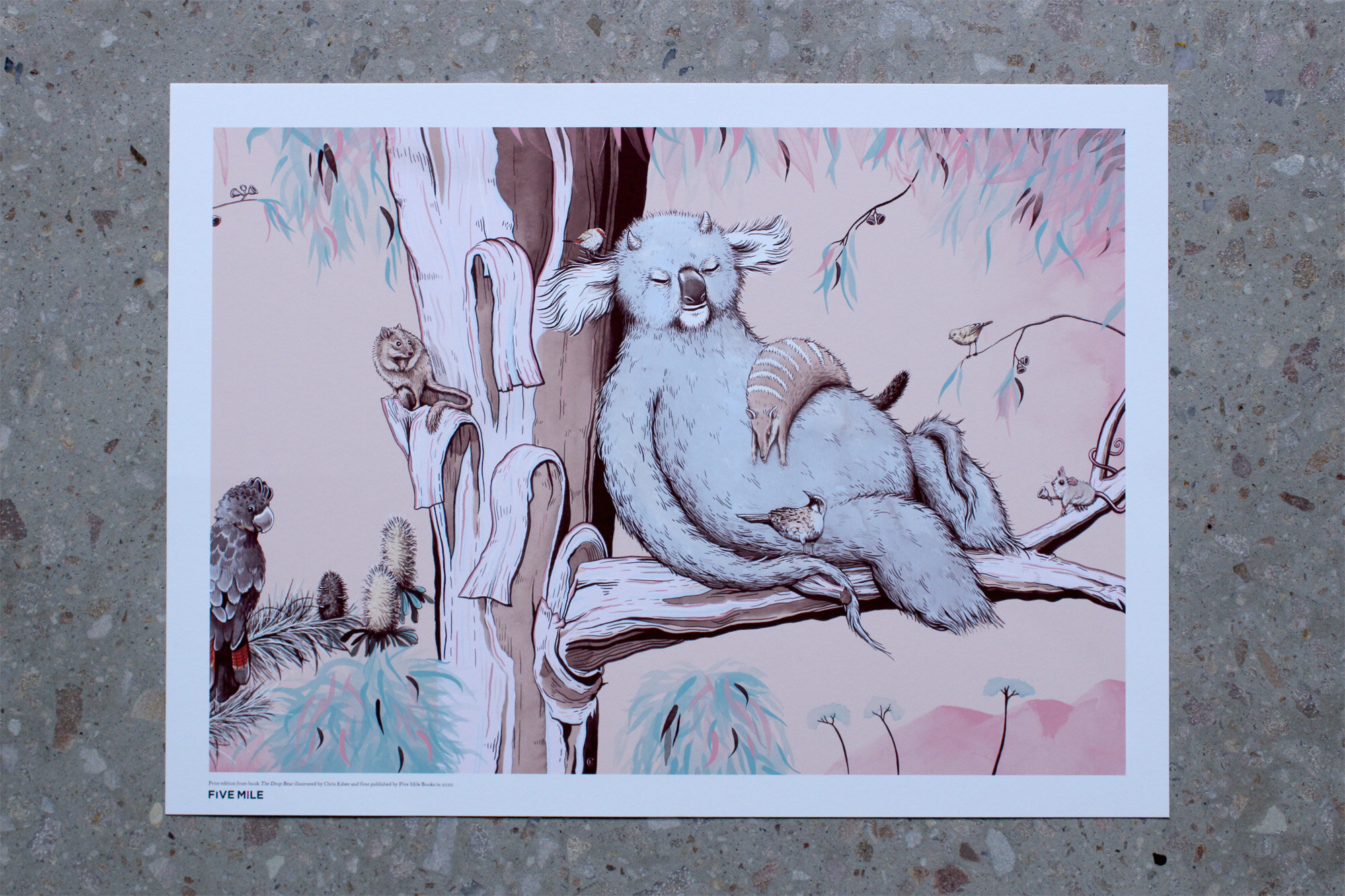 The Drop Bear - In tree with animal friends - art print from children's book