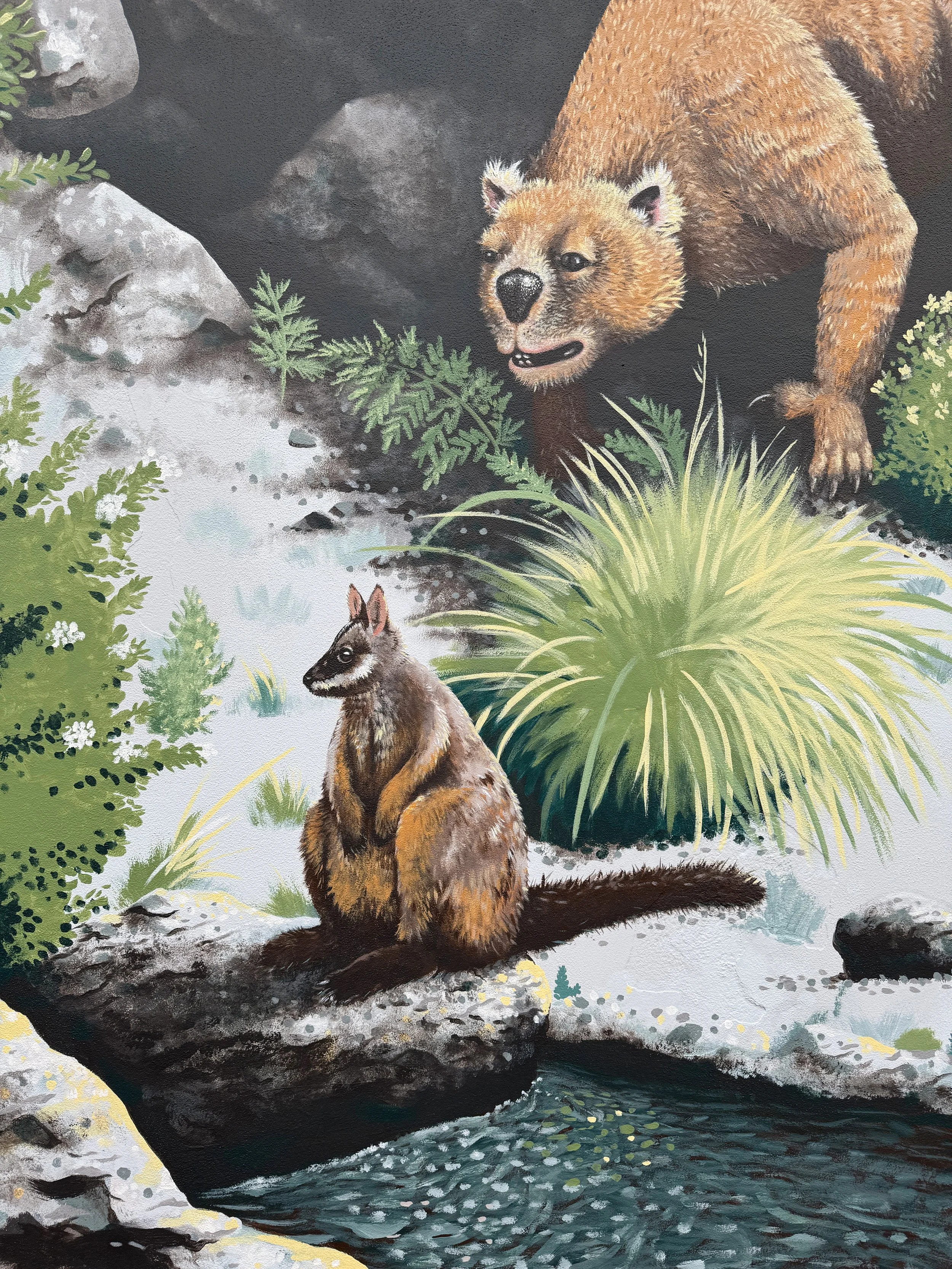 Detail of painted mural in Buchan, Victoria. Pictured is extinct marsupial Thylacoleo carnifex ambushing a brush-tailed rock wallaby.