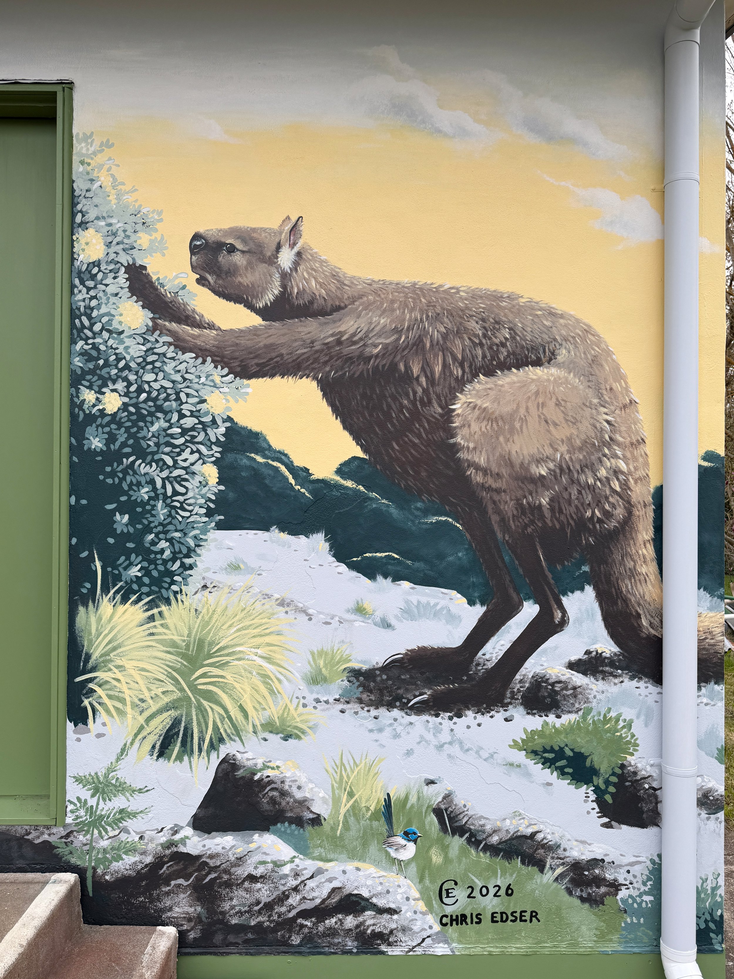 Detail of painted mural in Buchan, Victoria. Pictured is extinct marsupial short-faced kangaroo Simosthenurus Occidentalis.
