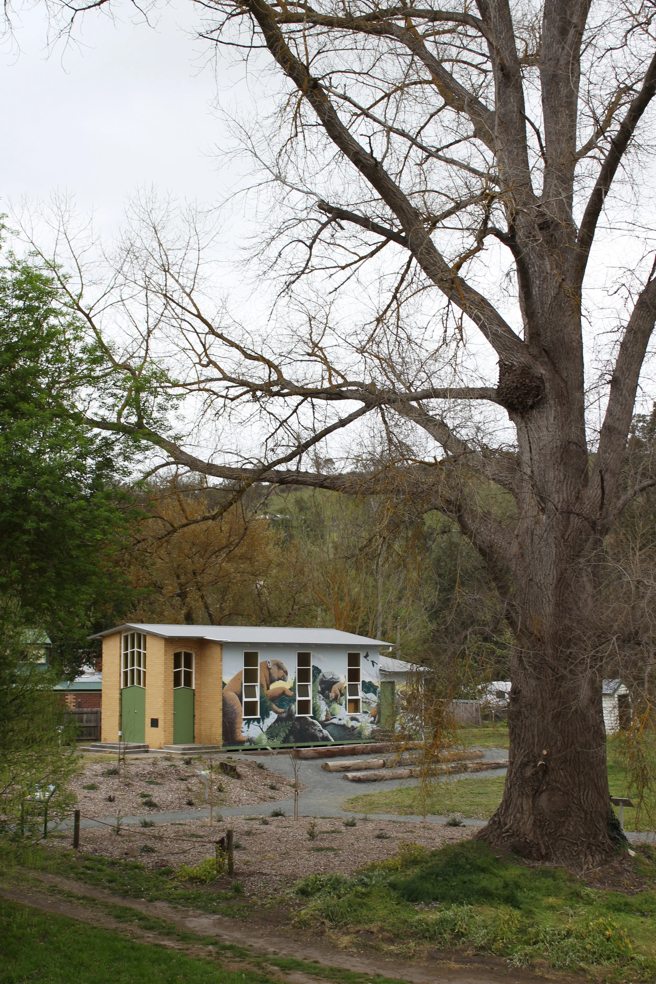 View from the bridge in Buchan of megafauna mural through the trees.