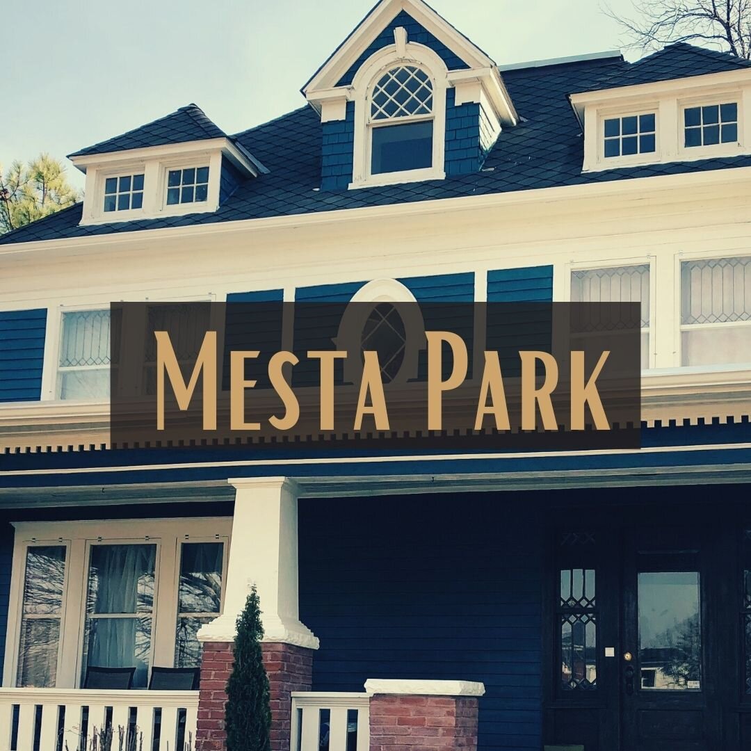 Mesta Park Renovation