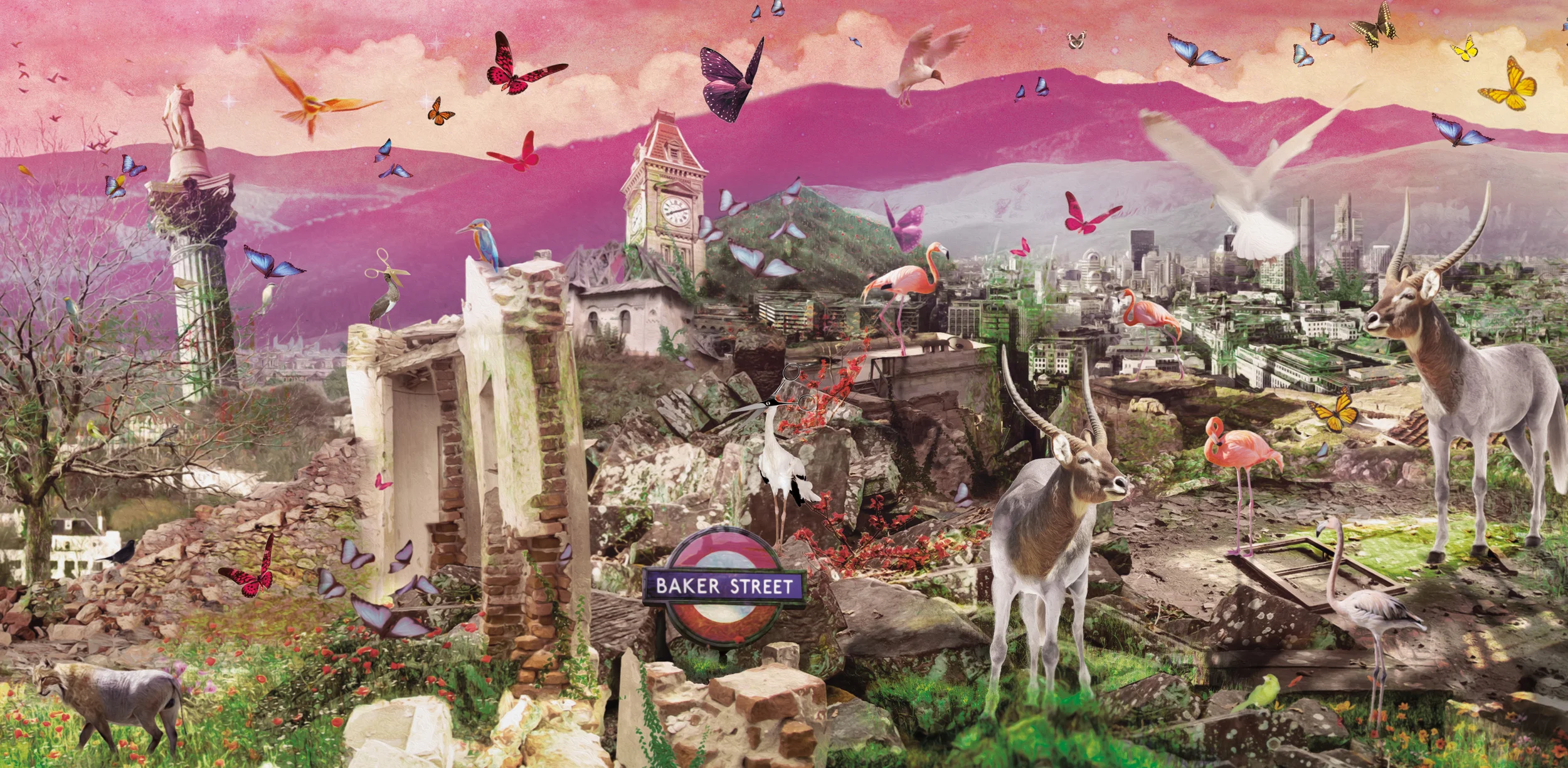 Ted Baker Wholesale Wallpaper