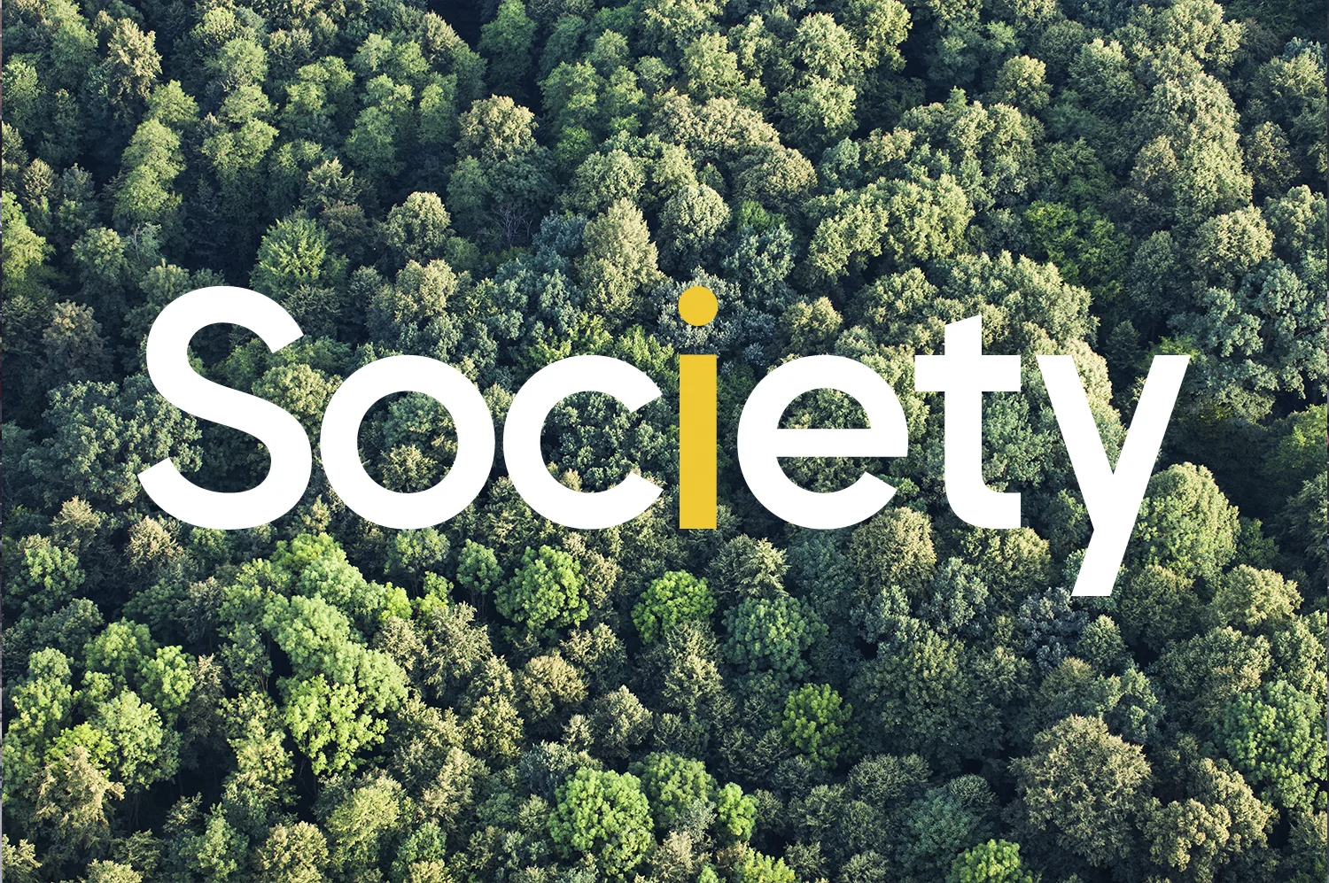 onebigcompany-website-web-design-digital-logo-society-1.jpg