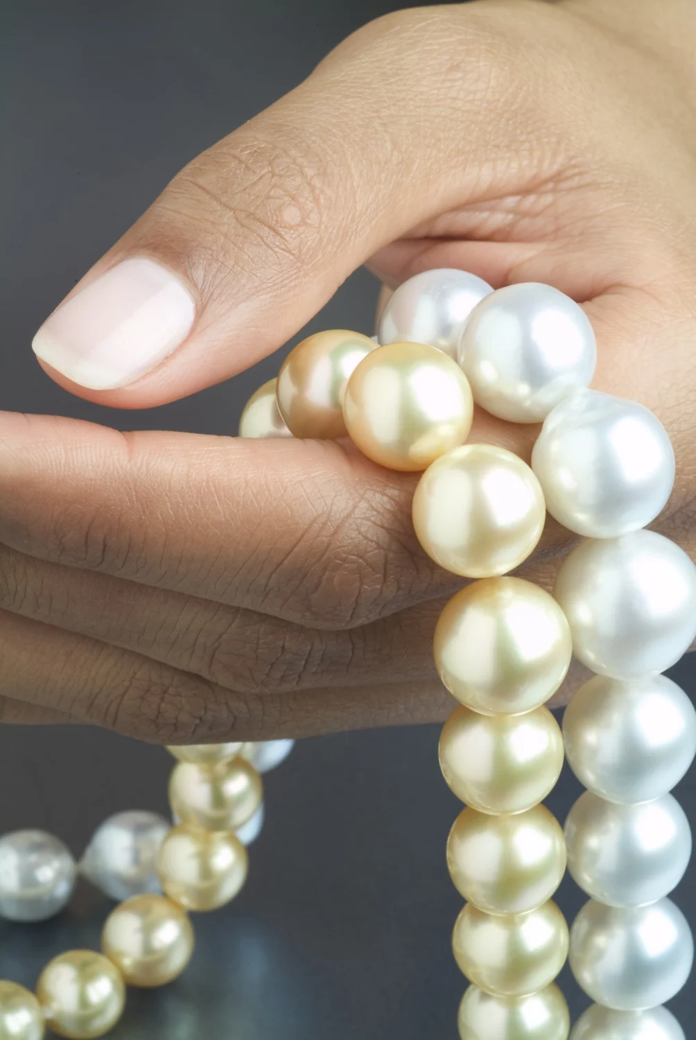 88 Pearls Maxima.jpg