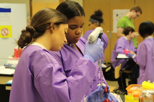 UDM BUILD SCHOLAR FRESHMEN IN THE RESEARCH LABORATORY (PHOTO BY UNIVERSITY OF DETROIT MERCY)
