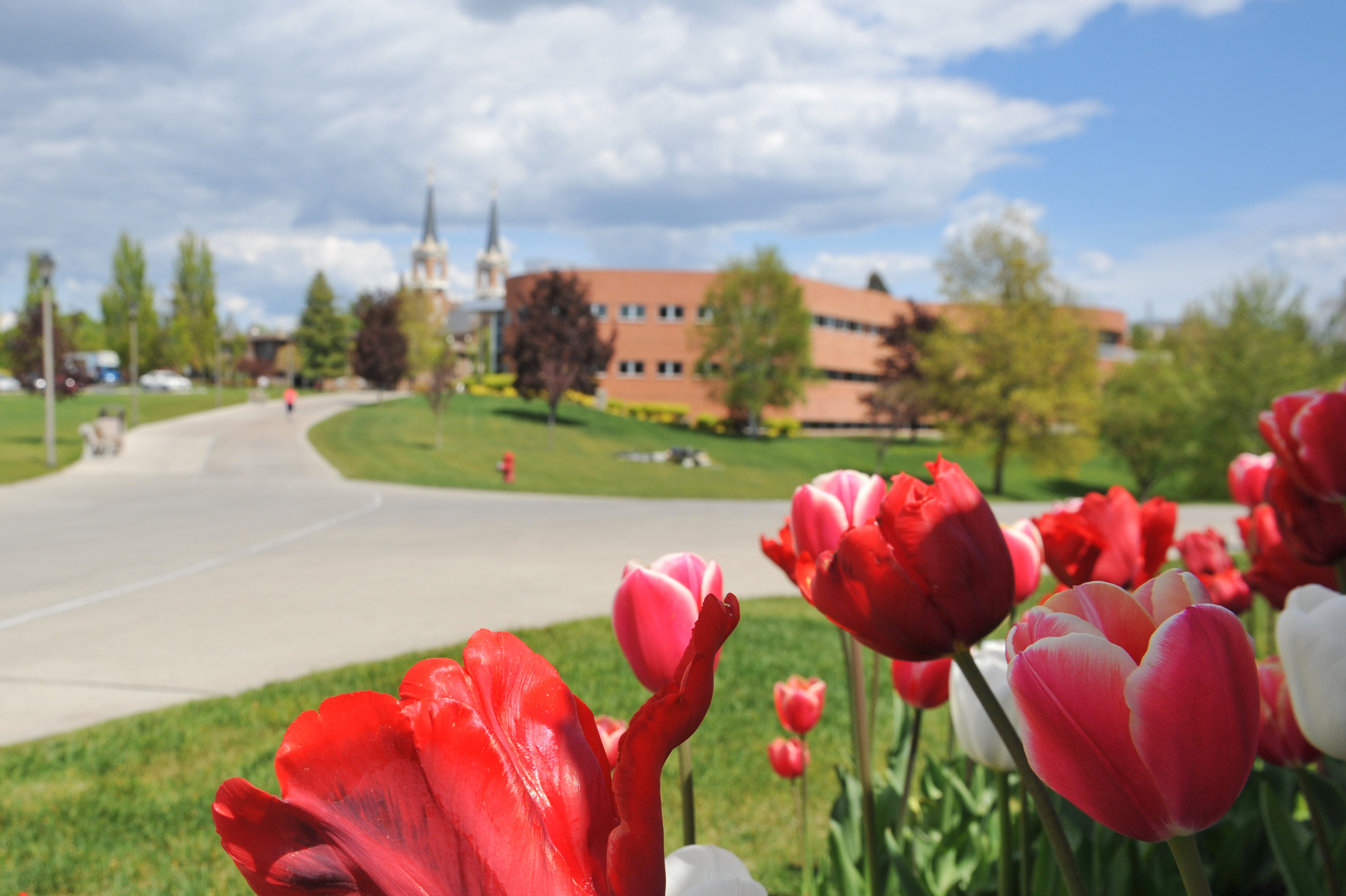 The 2015 publication of Pope Francis’ Laudato Si' provided an opportunity for Gonzaga to build on its long commitment to responsible environmental stewardship as part of its Jesuit and Catholic identity (Photo by Gonzaga University)