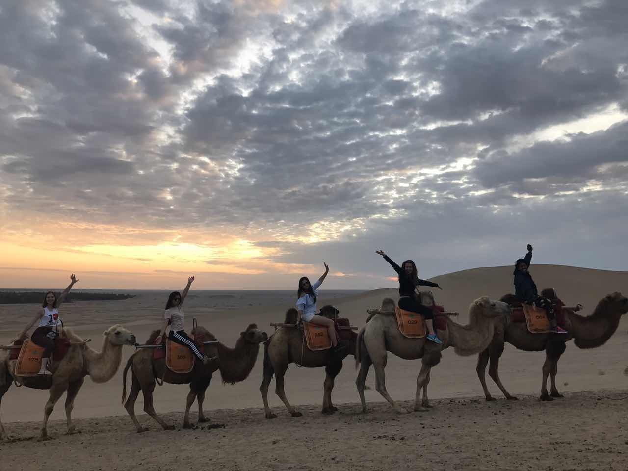 Students riding their camels to watch the sunset in the Gobi Desert during orientation week at The Beijing Center (Beijing, China)