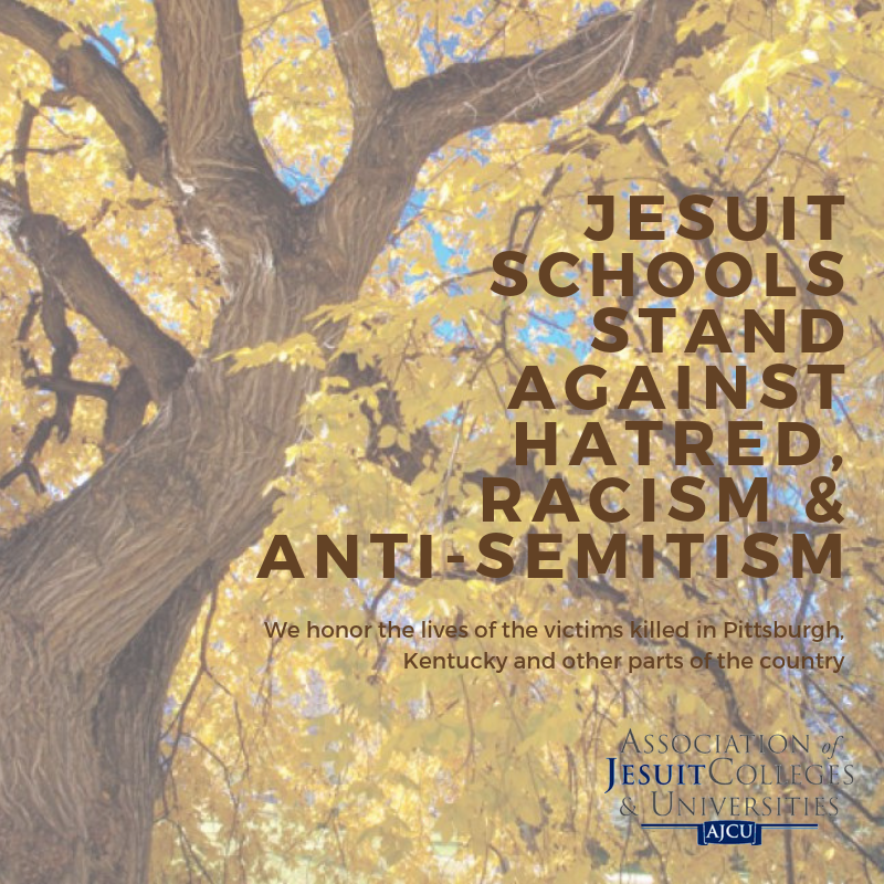 11-02-18_TreeofLife3.fw.png