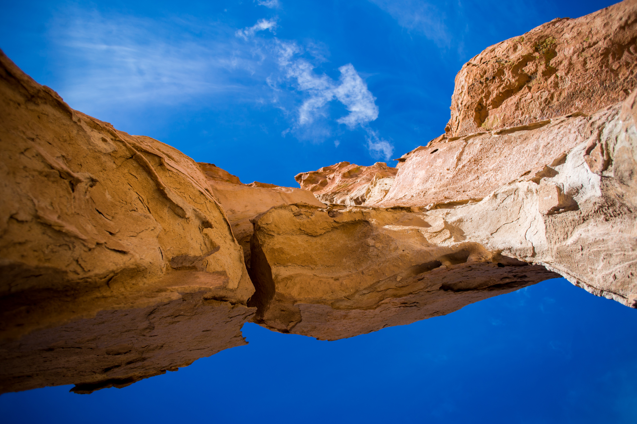 Photo by Alexkx3/iStock / Getty Images