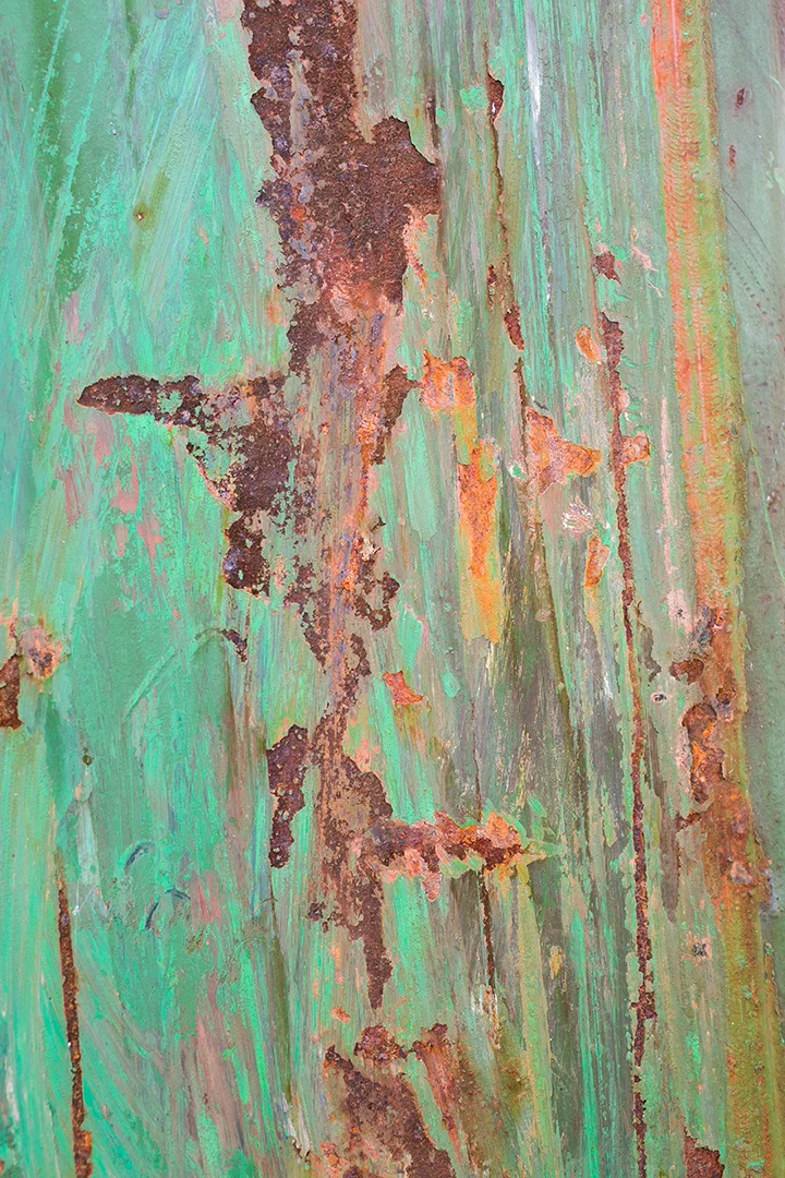 untitled1606270236 10x15 2.jpg