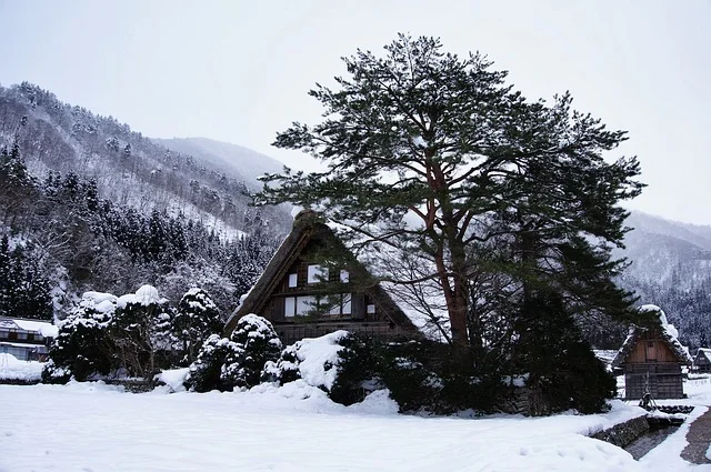 thatched-style roof house in shirakawa-go