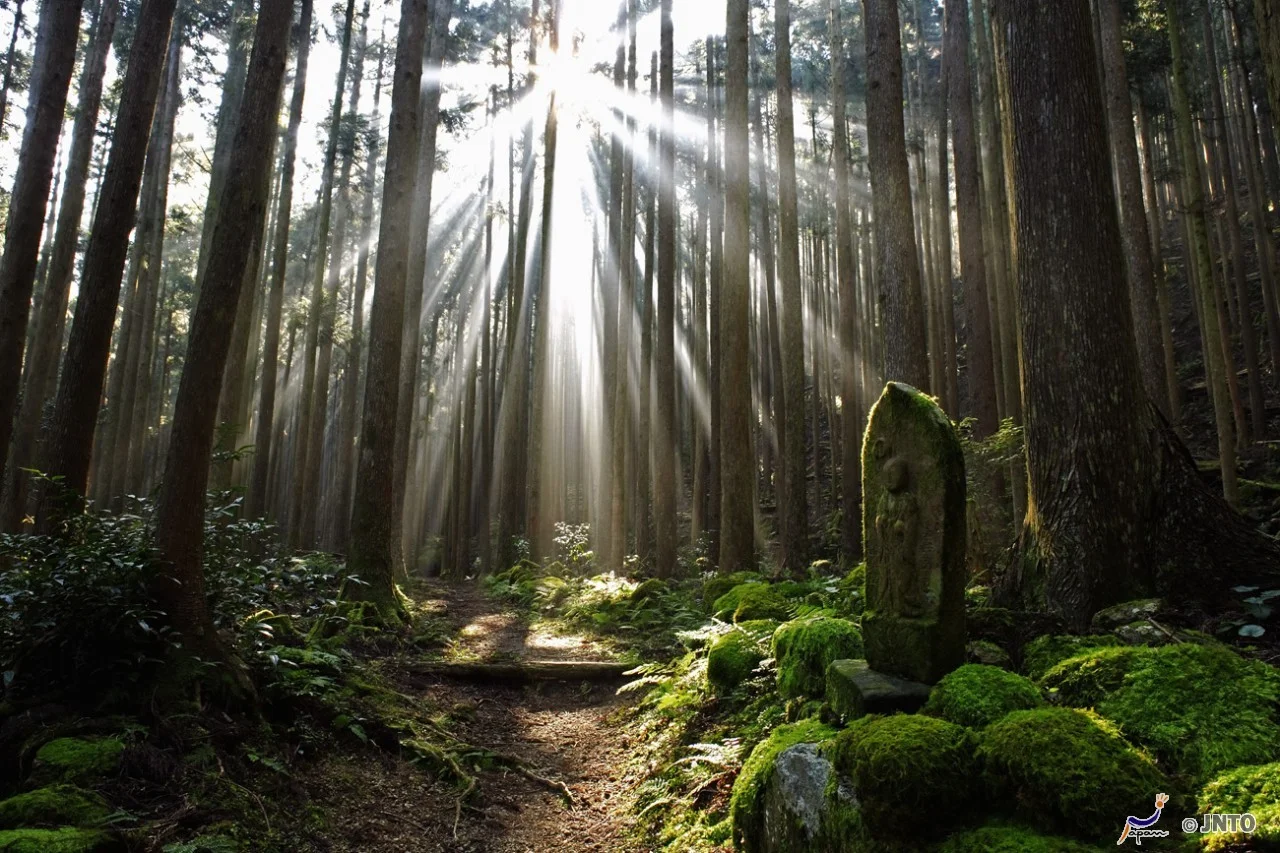 SACRED SITES AND PILGRIMAGE ROUTES IN THE KII MOUNTAIN RANGE - Wakayama, Nara, Mie prefecture (2004) Learn more (Photo Copyright: ©JNTO)