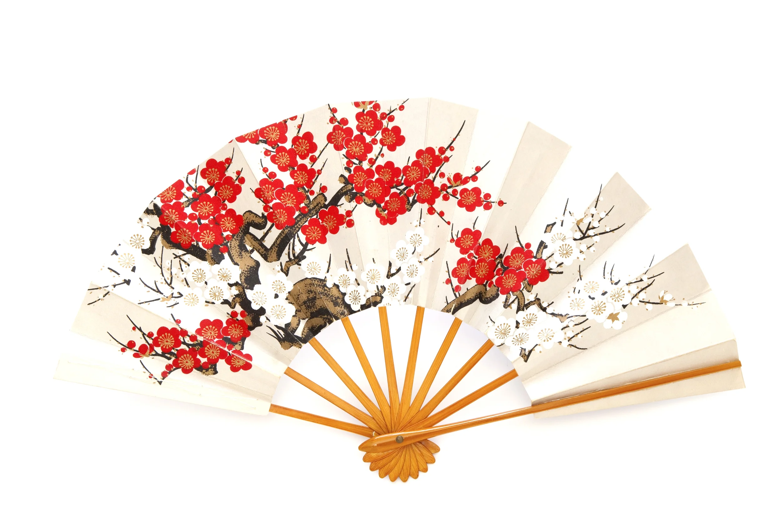 Sensu
