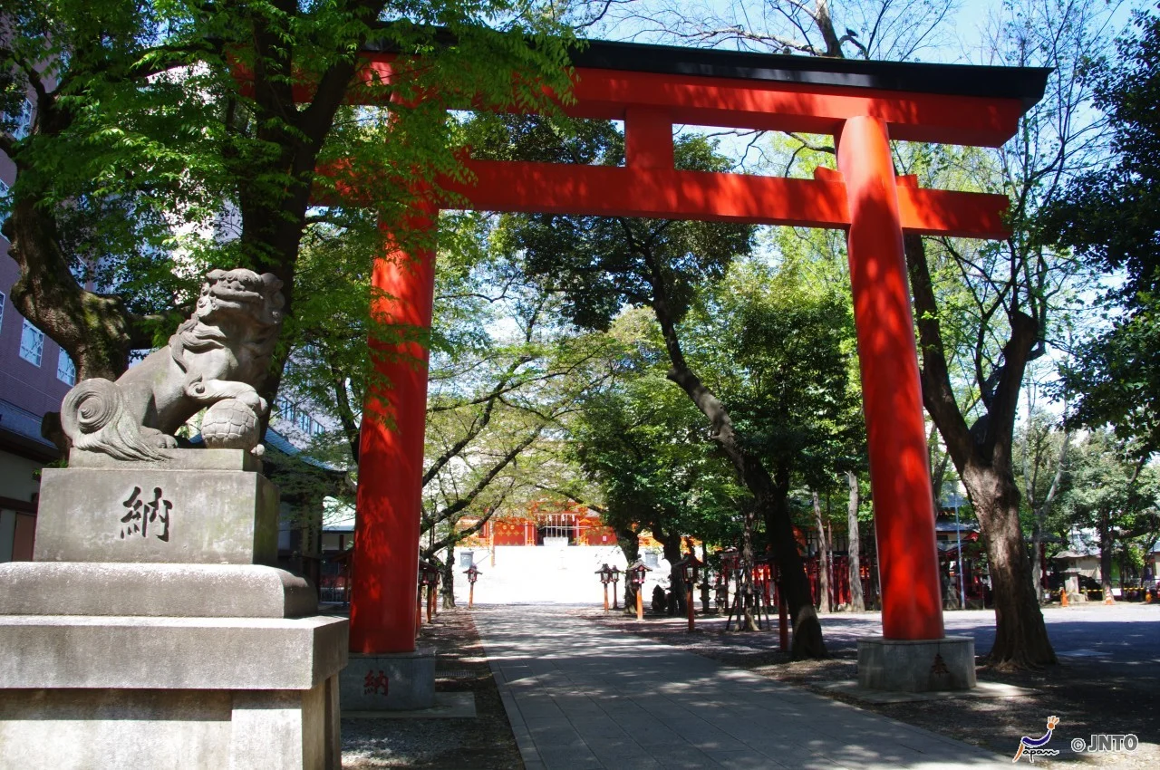 (Photo copyright: ©Yasufumi Nishi/©JNTO)