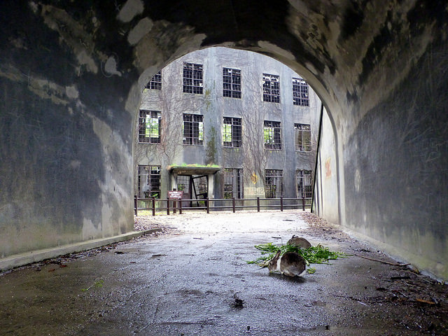 Okunoshima's abandoned factory photo by: Flickr@Helen ST