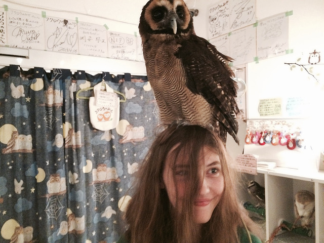 An elegant owl on top of a beautiful lady. Photo by Flickr@TheMarcusChance