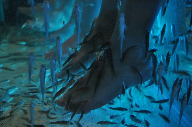 Different from the doctor fish tanks at Osso, this is a seemingly photo of blue UV lighting. Photo by: Flickr@Kullez