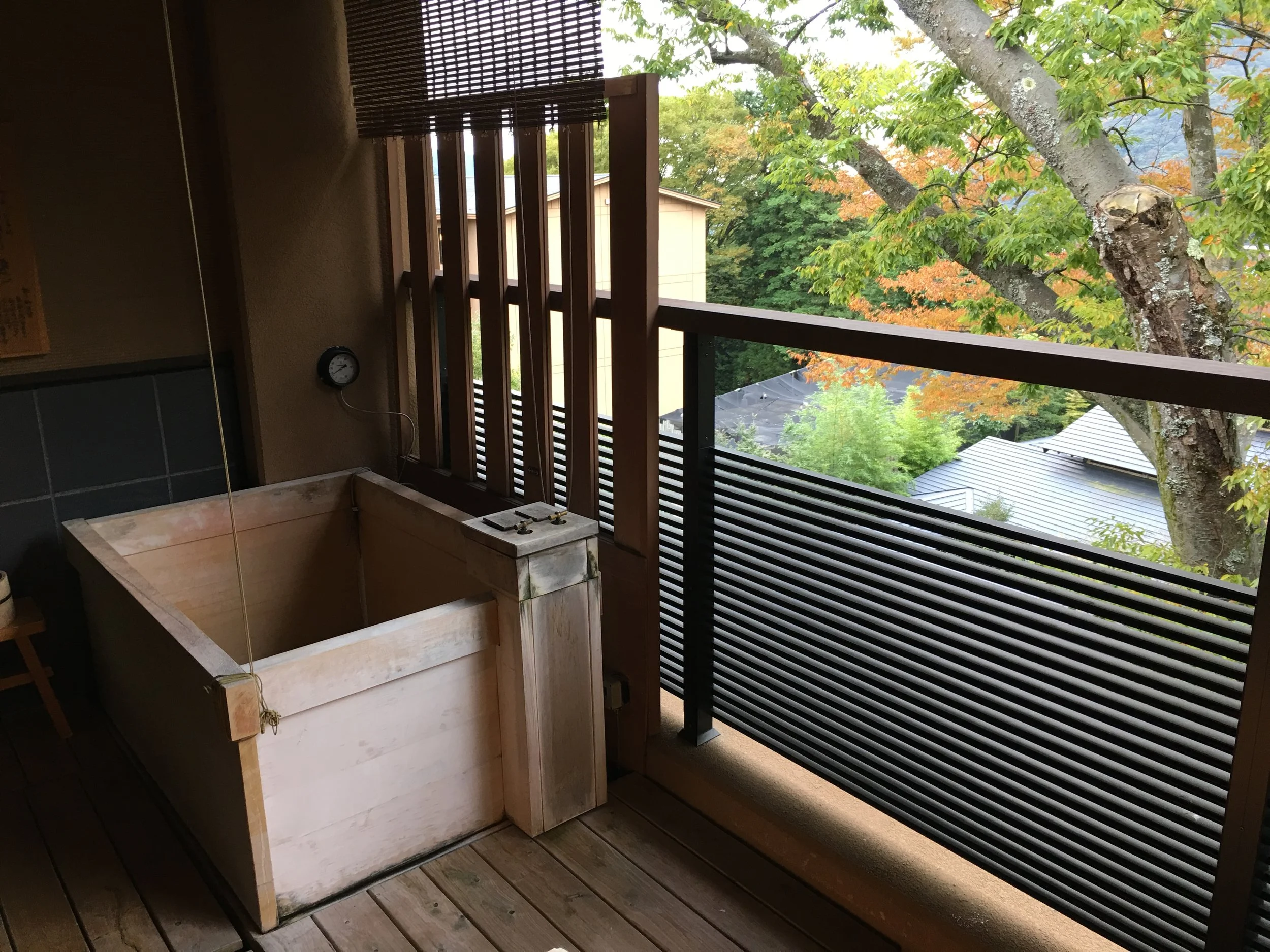 The patio includes a private bath. The other half of the patio photo shown: here .