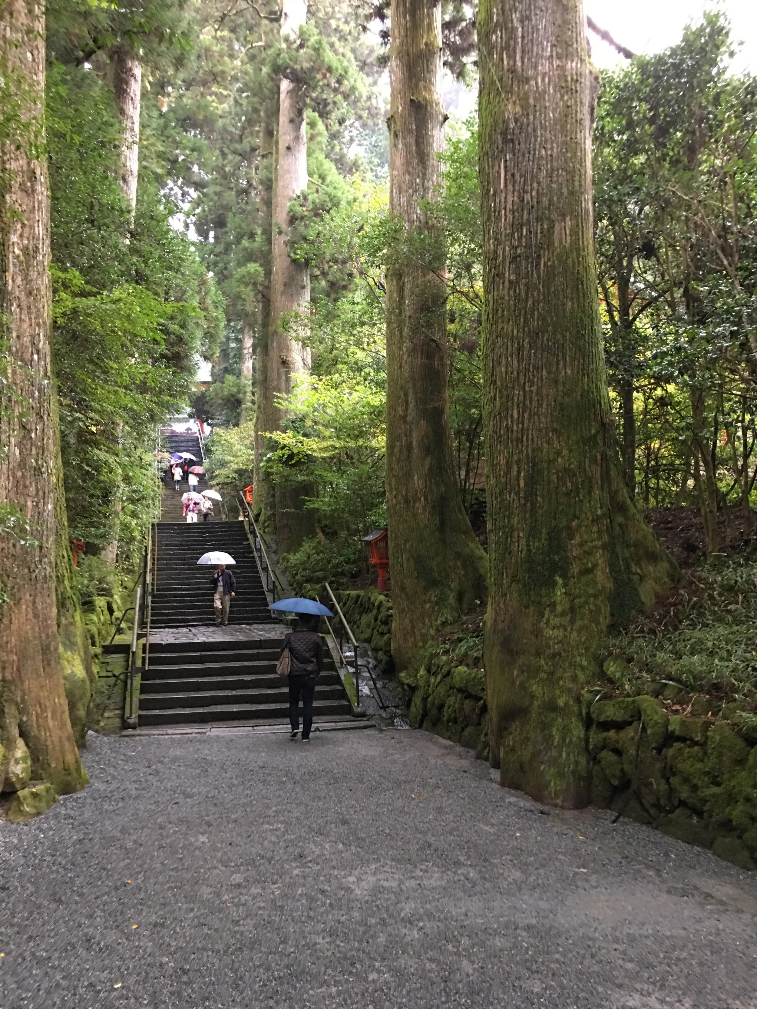 In this photo we are traveling to Hakone Shrine after my lovely boat trip. Dense beautiful forests were around my field of vision.