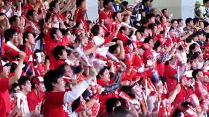 Hiroshima_Carp_Studium4.jpeg