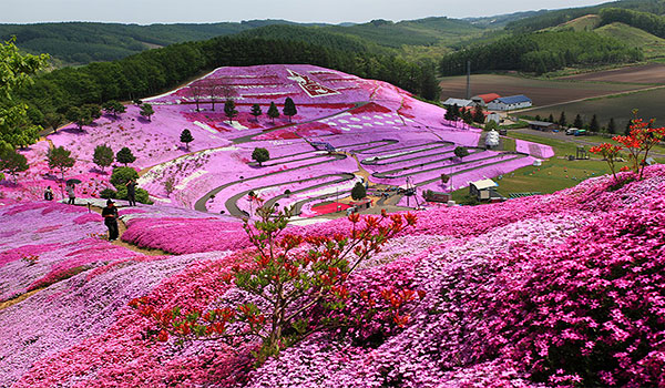 Island of Hokkaido 9days