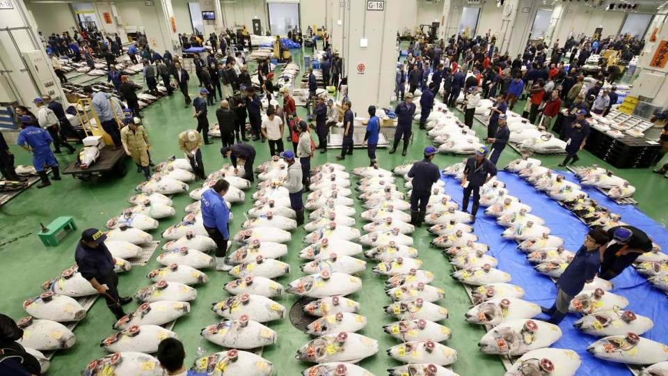 Toyosu (Fish Market)