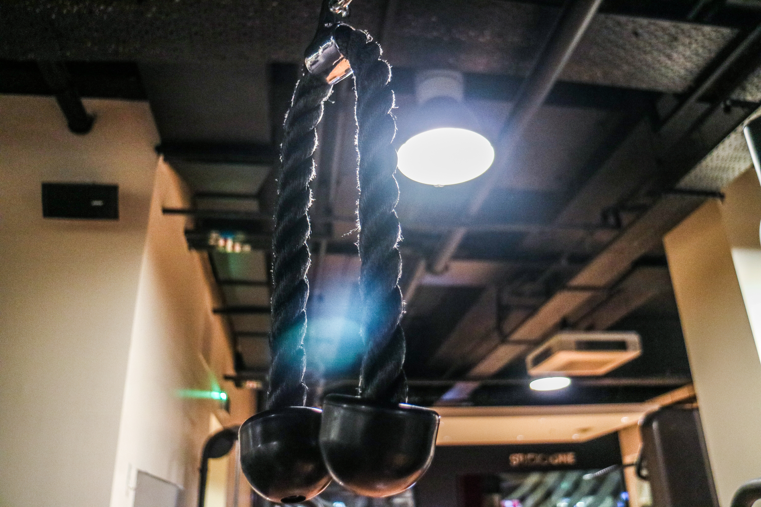 Straight Arm Pulldowns