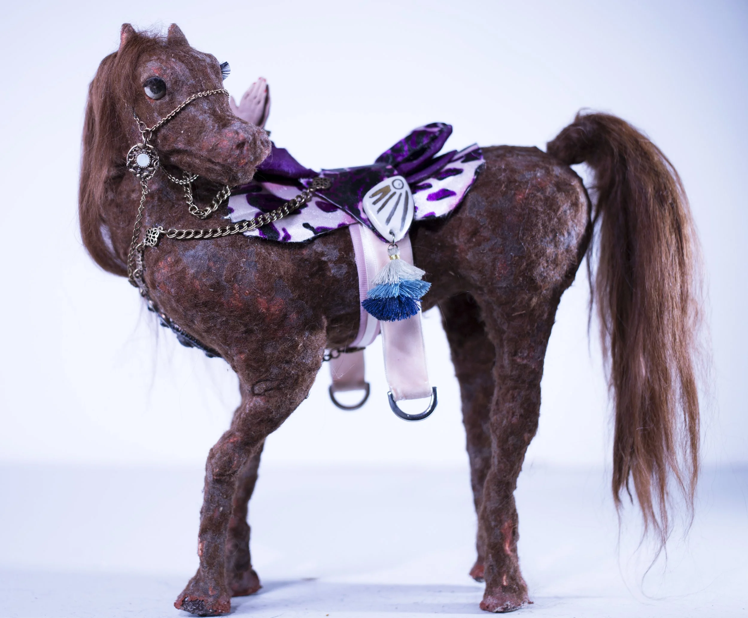 Few spot saddle.jpg