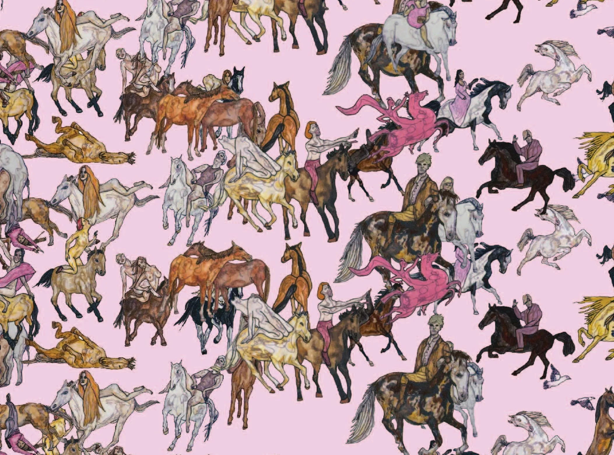 snipe wall paper.JPG