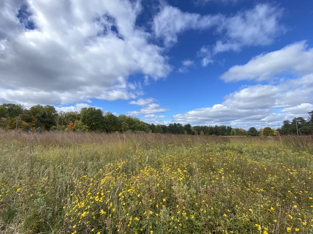 Gates Mills Land Conservancy