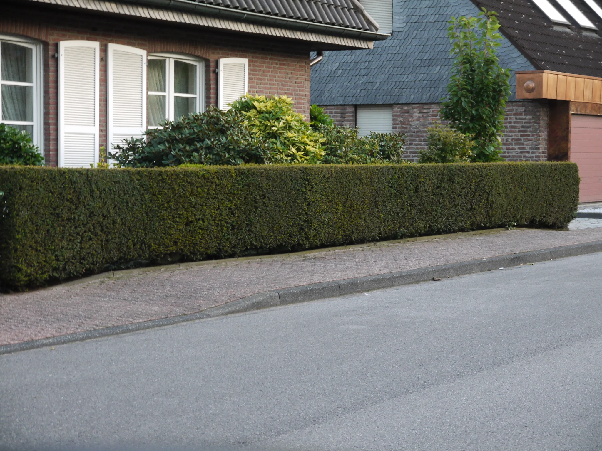 Hecke3.JPG