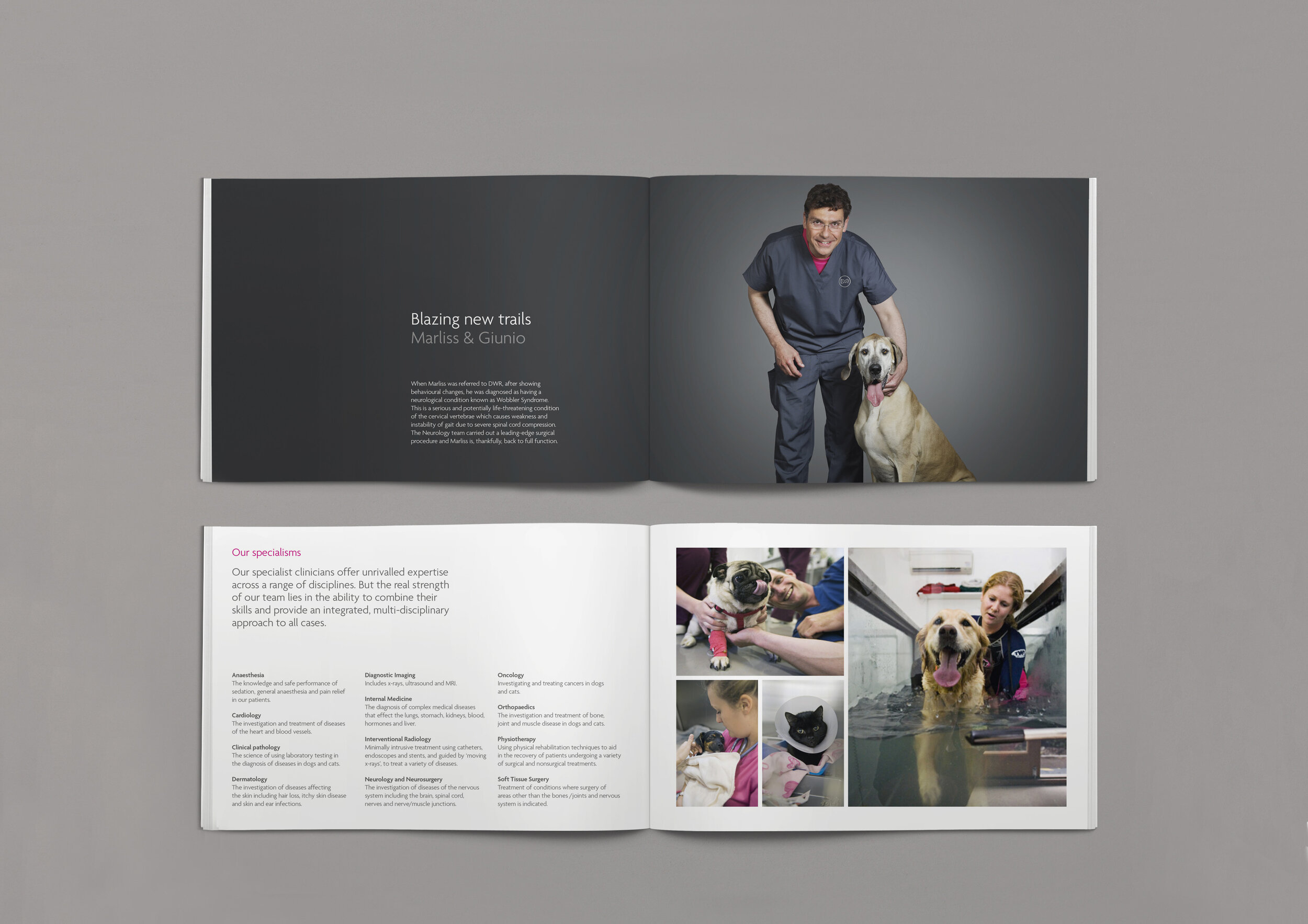 Dick White Referrals Andy Bain branding design