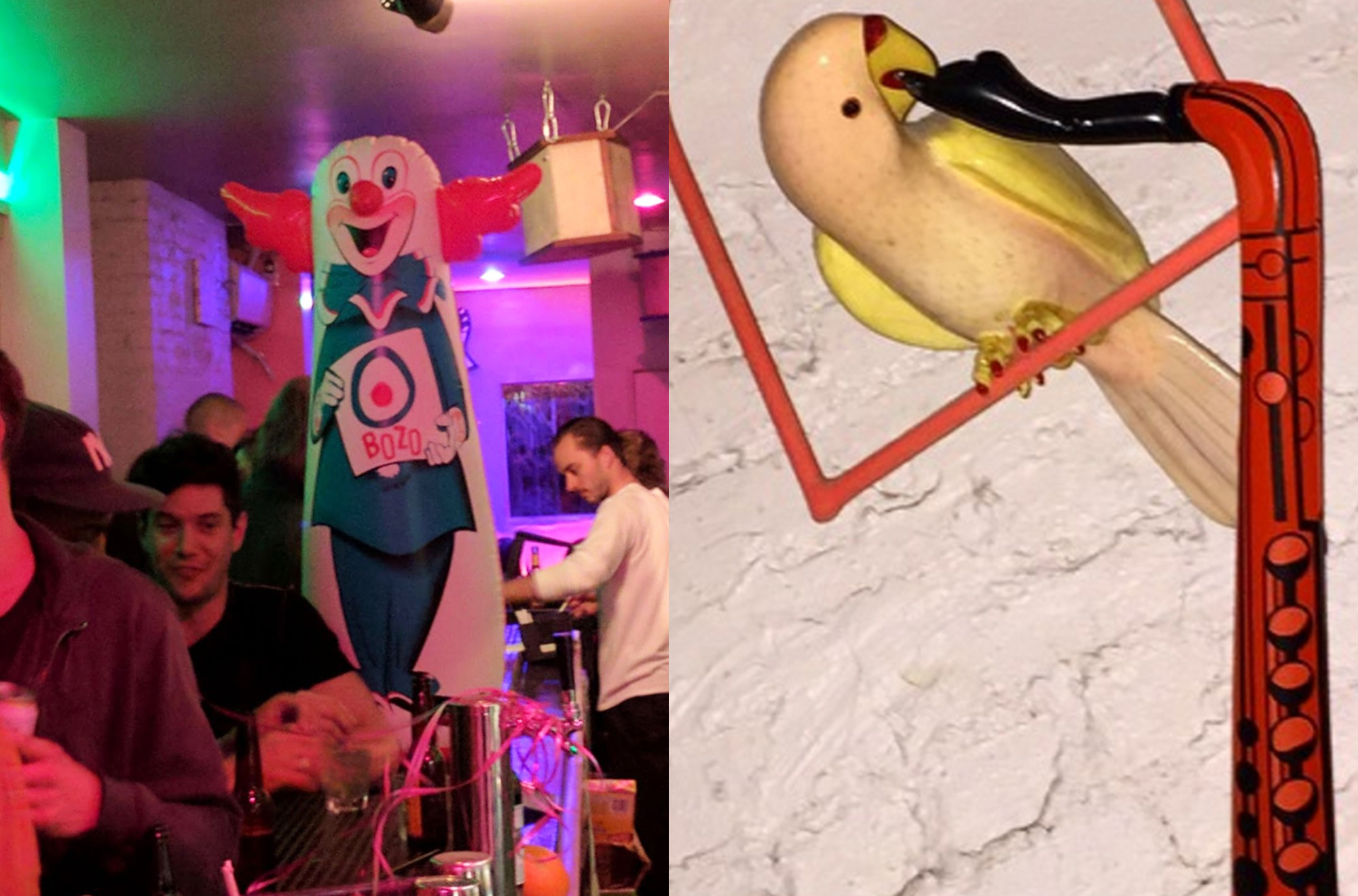 a clown a parrot and a sax