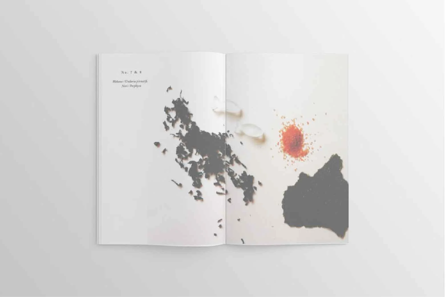 •CapCrispLayouts-FJ-03.jpg