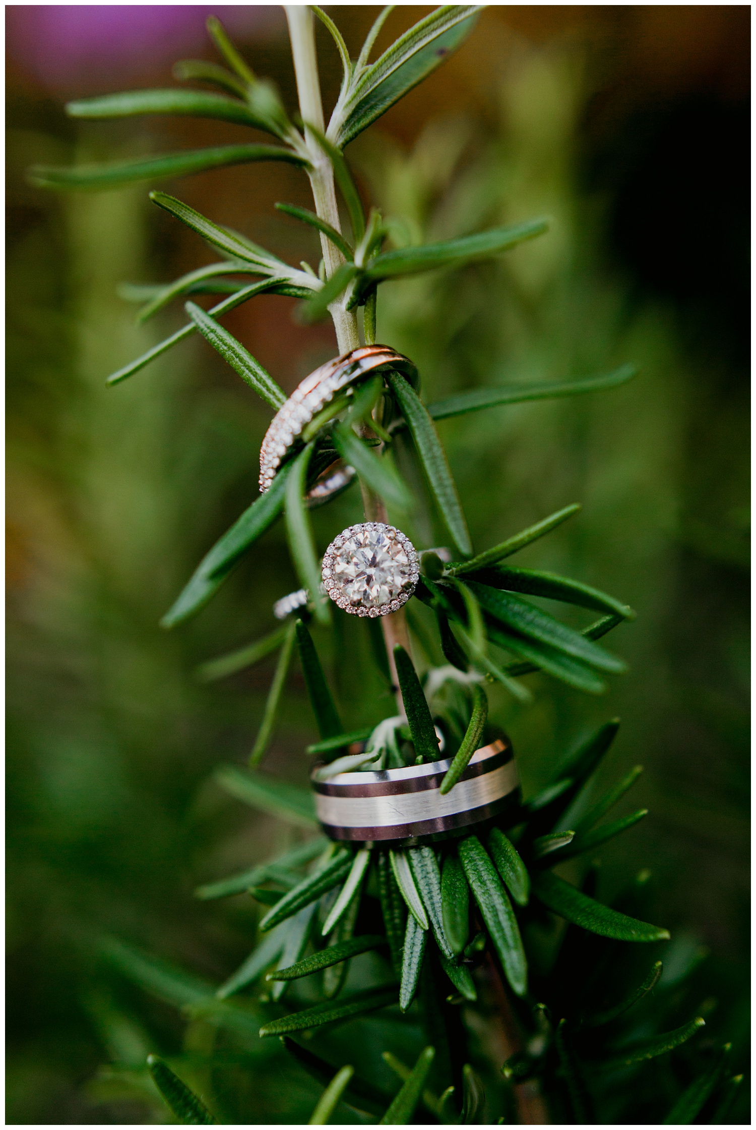 verandawitcombweddingphotographyrooftopceremonysilverbeachfinearttphotographyjournalisticstyle83.jpg