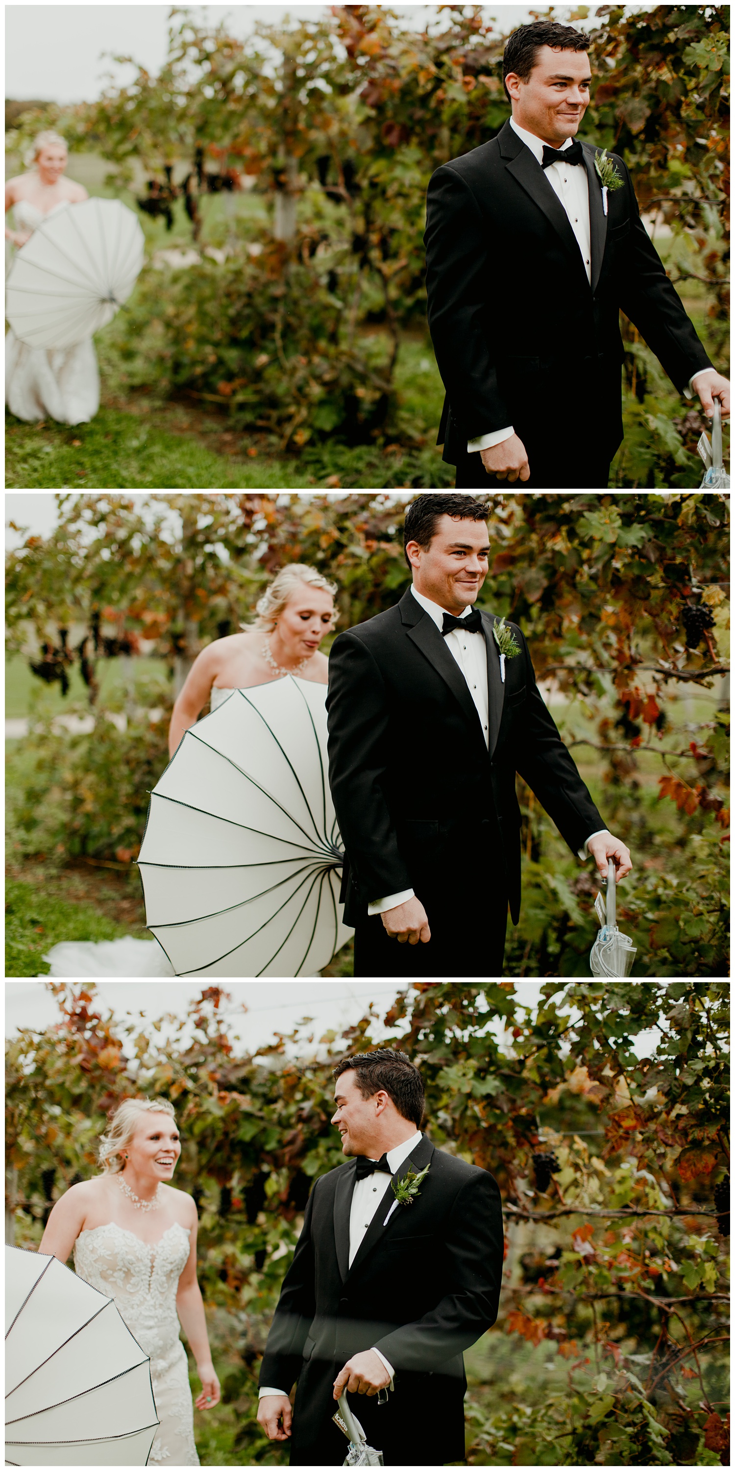 taborhillwineryweddingvineyardoutdoorfalljournalisticfineartsouthwestmichigannorthwestindiana20.jpg