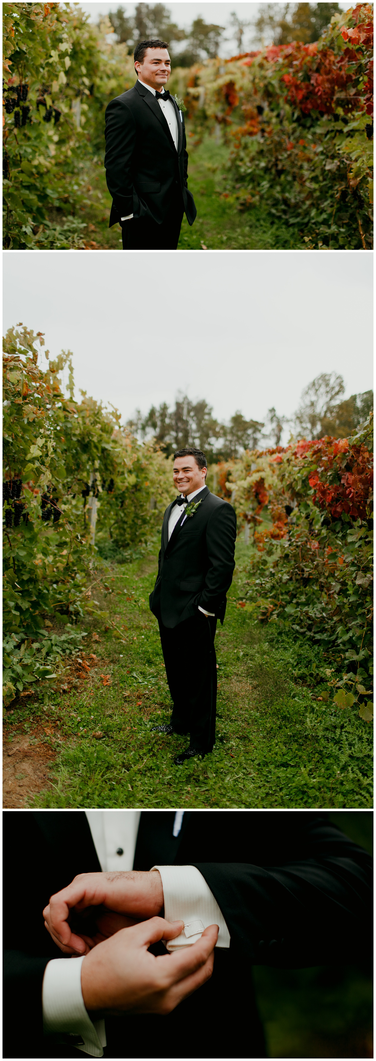 taborhillwineryweddingvineyardoutdoorfalljournalisticfineartsouthwestmichigannorthwestindiana19.jpg