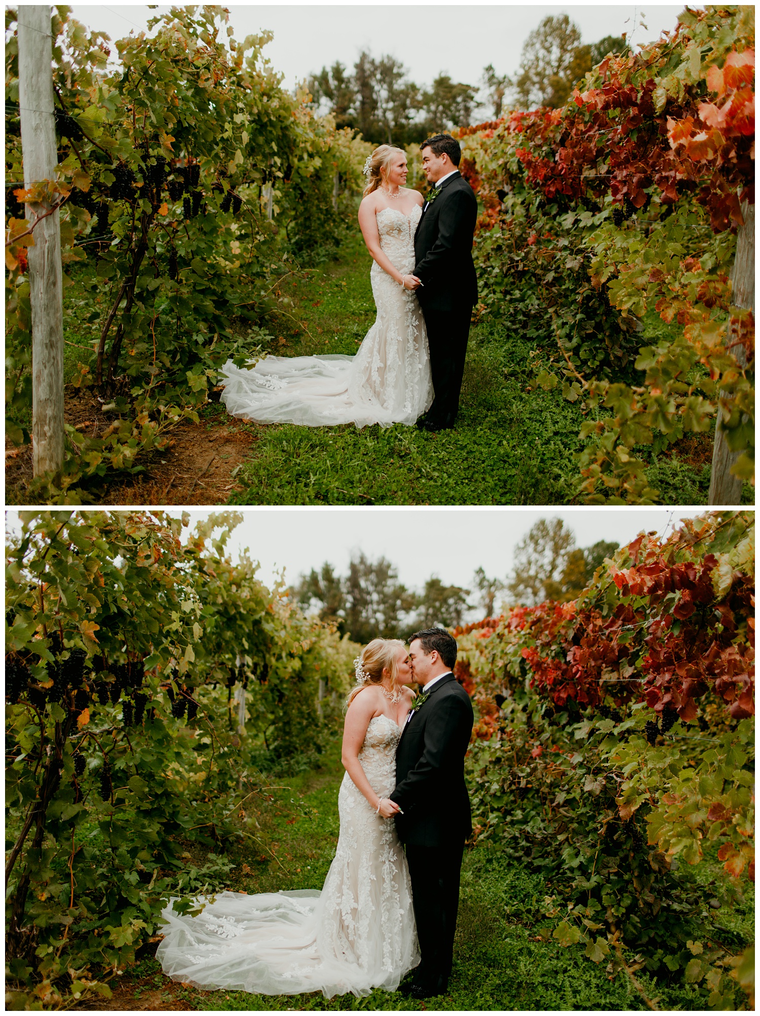 taborhillwineryweddingvineyardoutdoorfalljournalisticfineartsouthwestmichigannorthwestindiana29.jpg