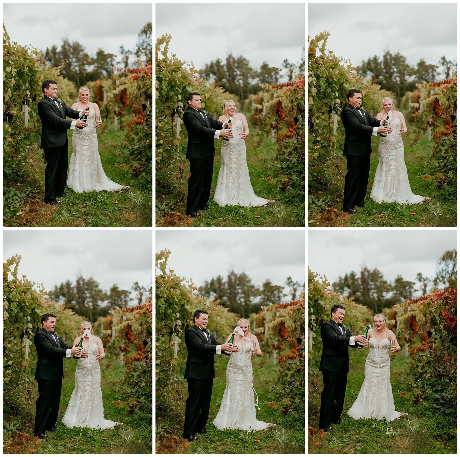 taborhillwineryweddingvineyardoutdoorfalljournalisticfineartsouthwestmichigannorthwestindiana63.jpg