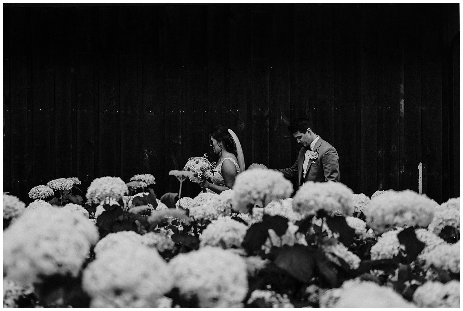 Inisfree Farms Wedding Photography Morgan Stell Gingertown65.jpg