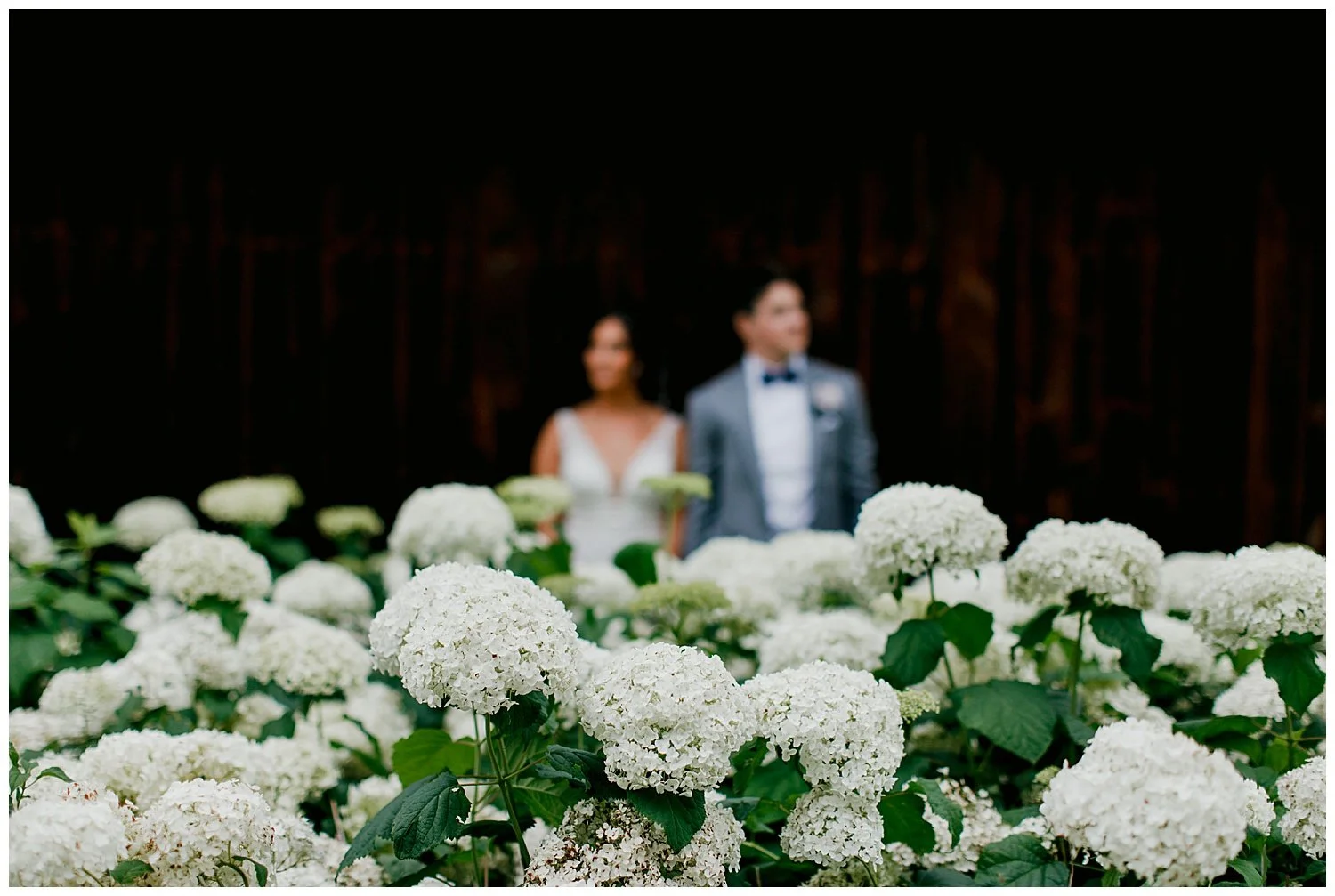 Dana + Dillon Inisfree Farm Wedding — GINGERTOWN PHOTOGRAPHY FOR