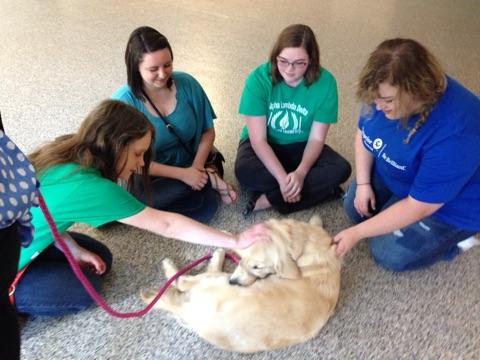 service - wright state donate blankets 4 paws.jpg