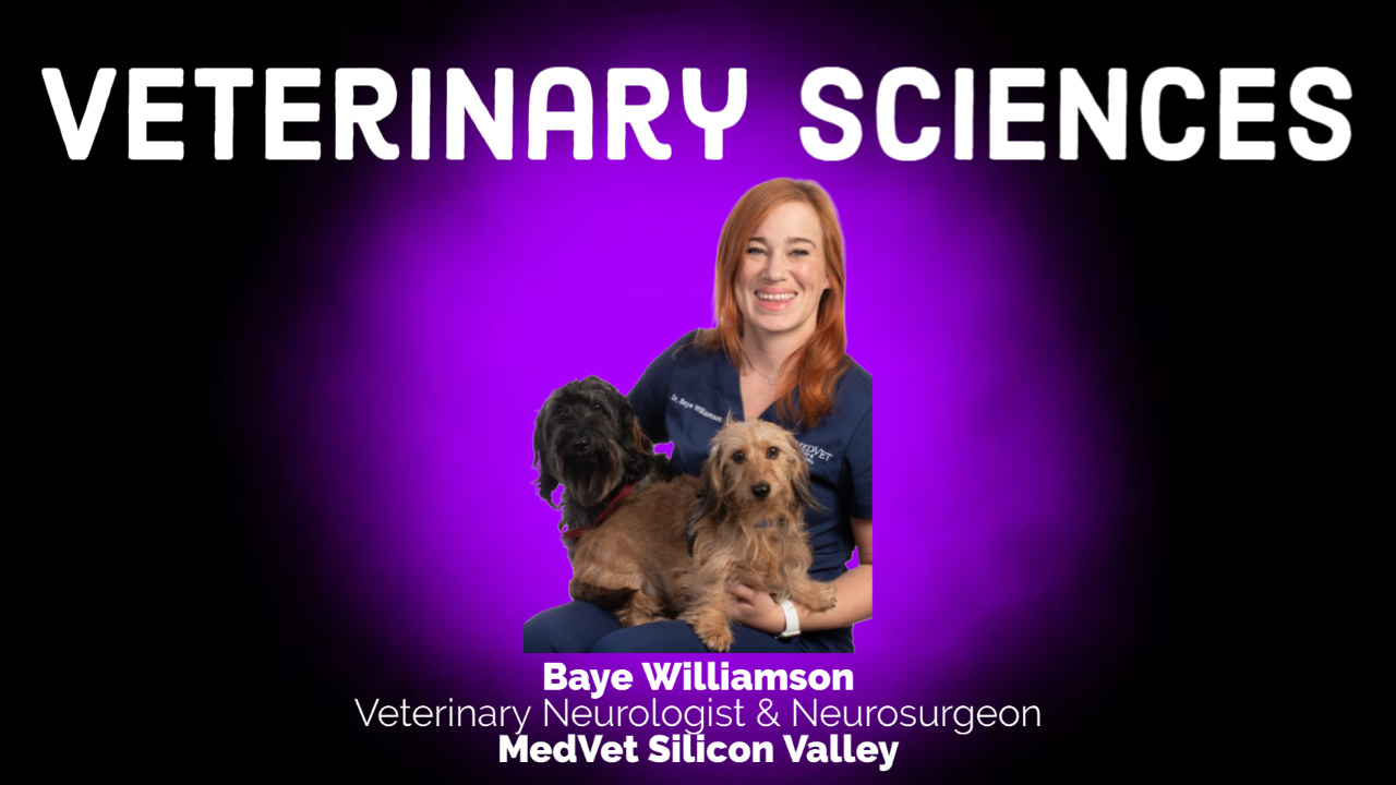Veterinary Sciences Career Conversation